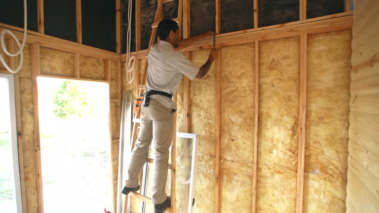 Best Insulation Replacement  in Elkin, NC