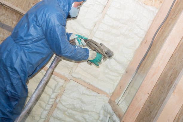 Best Wall Insulation Installation  in Elkin, NC