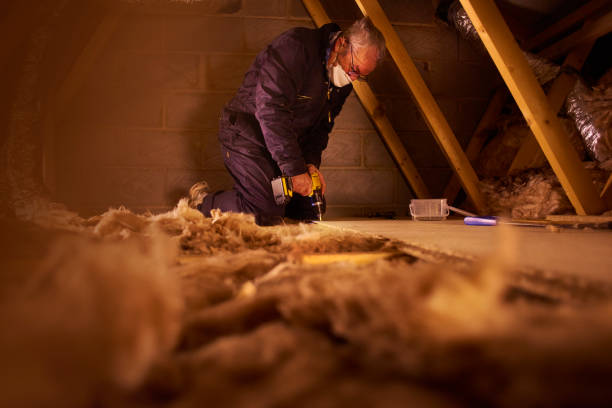 Eco-Friendly or Green Insulation Solutions in Elkin, NC